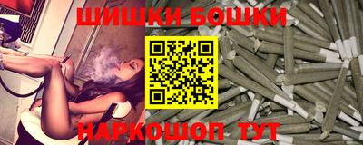 индика Тверь