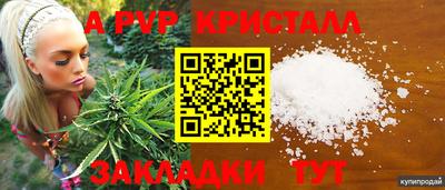 индика Тверь