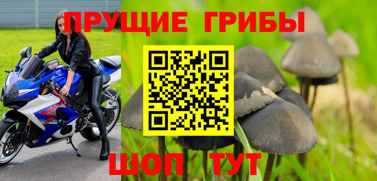 Галлюциногенные грибы ЛСД  Вход с VPN  Амурск 